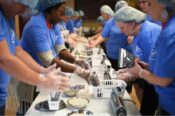 employees packing meals for Arkansas food banks